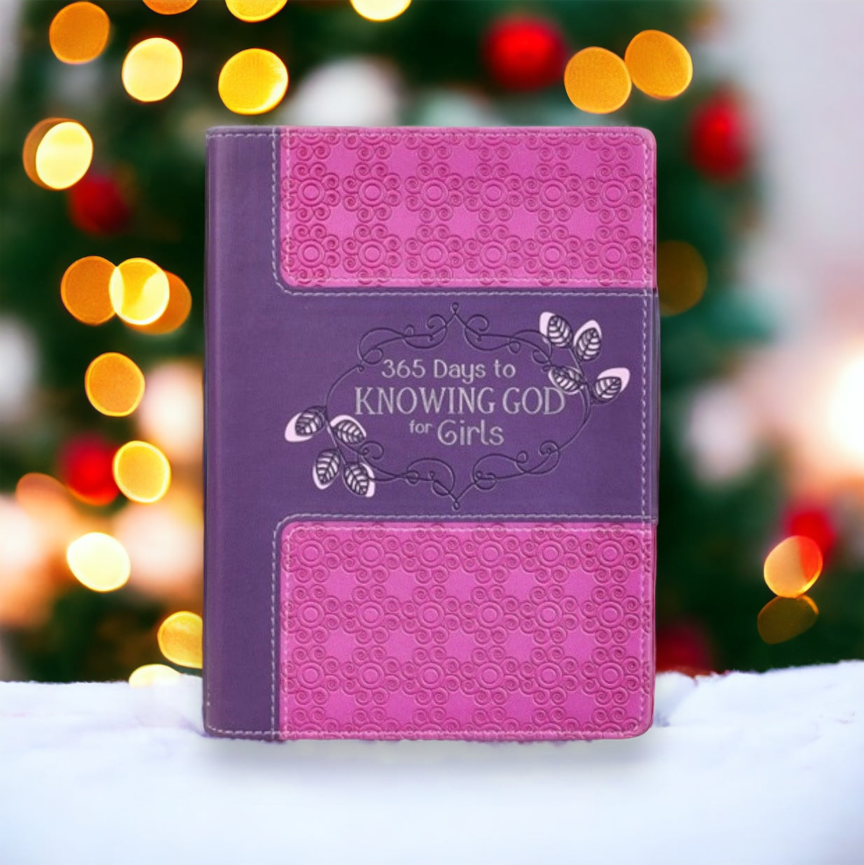 365 Days to Knowing God Devotional Journal