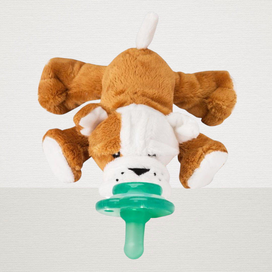 Paci-Plushies Buddies (Barkley Bull Dog)