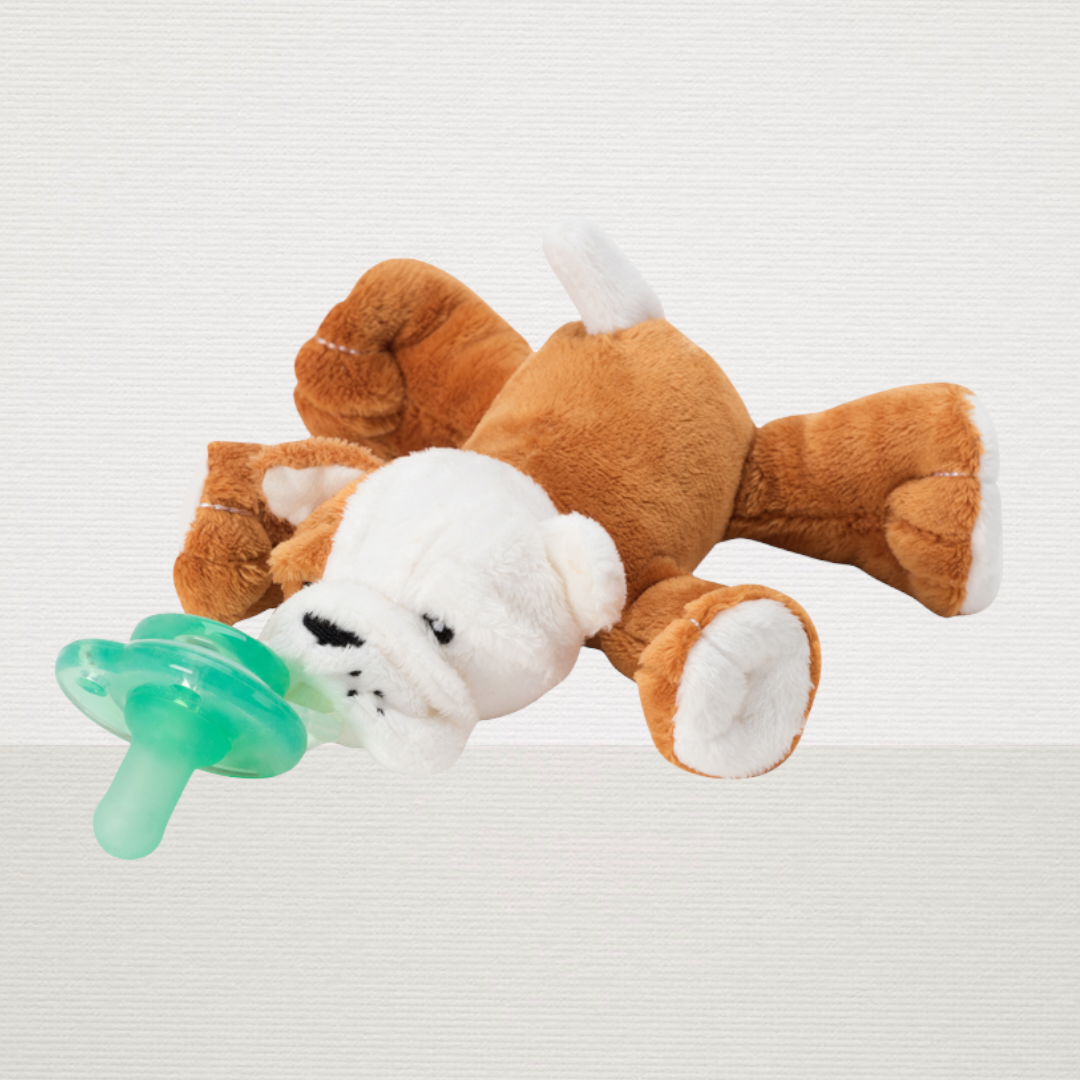 Paci-Plushies Buddies (Barkley Bull Dog)