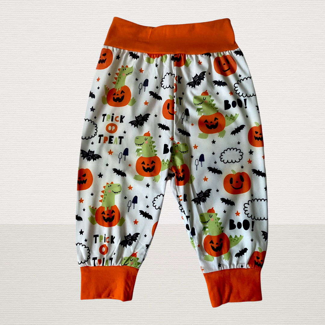 Halloween Fun Dinosaur 2pc Set