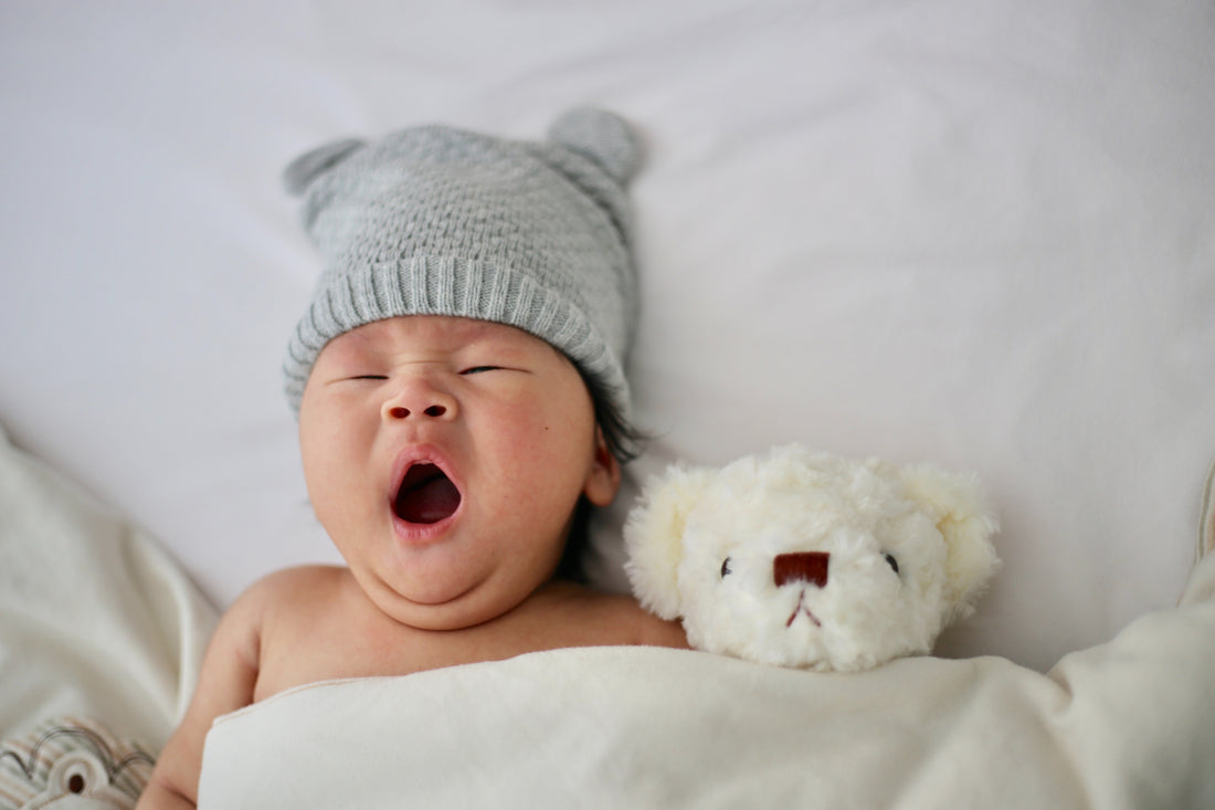 Newborn Sleep Schedule