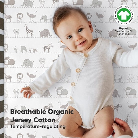 2-pack Organic Cotton Savannah Fitted Crib Sheet