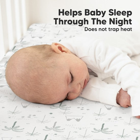 2-pack Organic Cotton Dino Fitted Crib Sheet