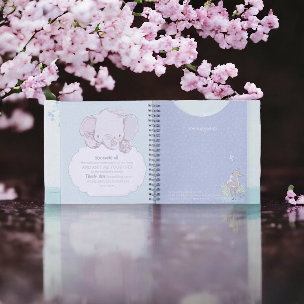 Our Baby Boy 1st Year Memory Book