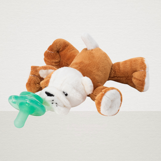 Paci-Plushies Buddies (Barkley Bull Dog)