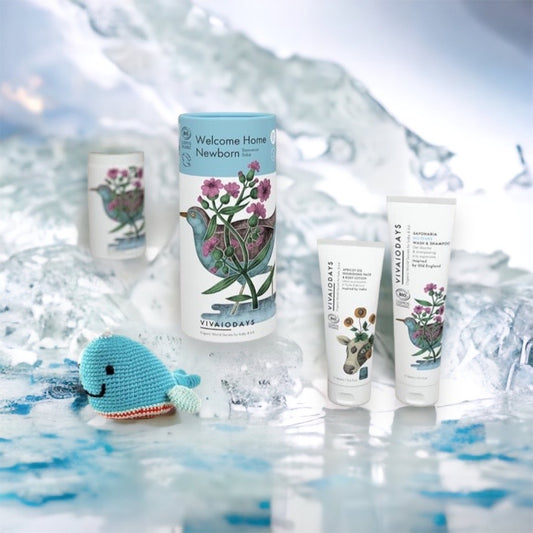 Welcome Home Newborn Gift Set